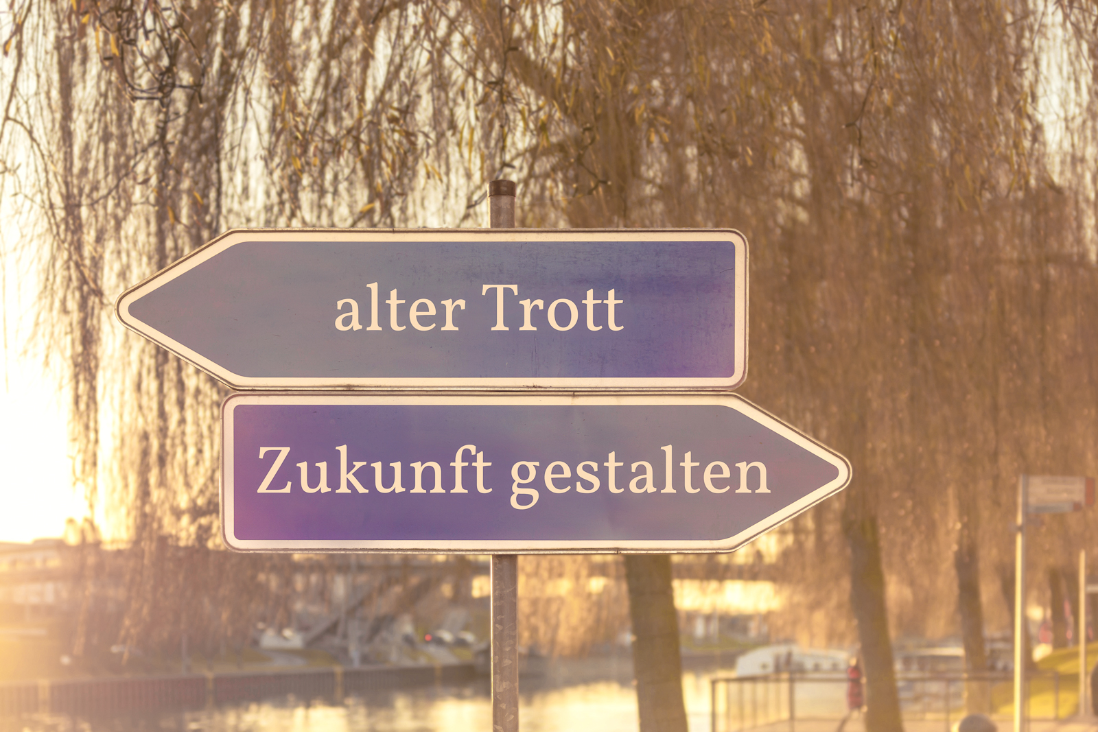 Get out of the old rut